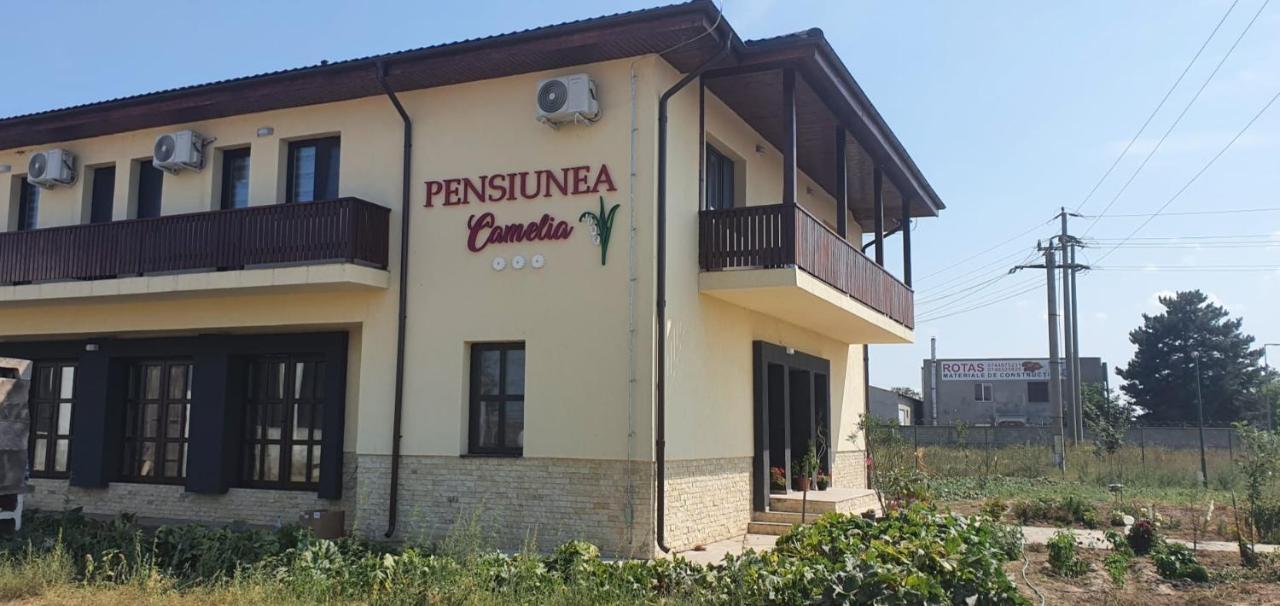 Pensiunea Camelia Baia Esterno foto