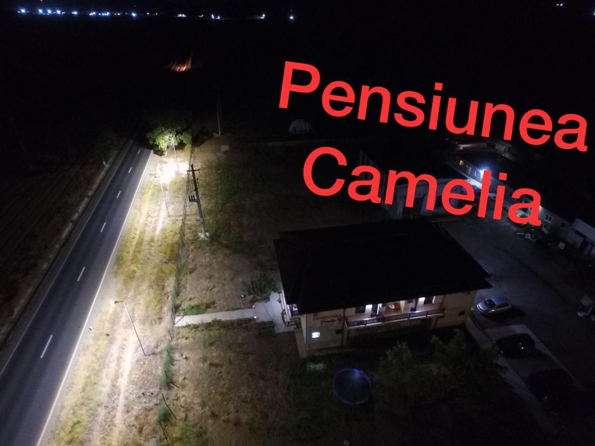 Pensiunea Camelia Baia Esterno foto