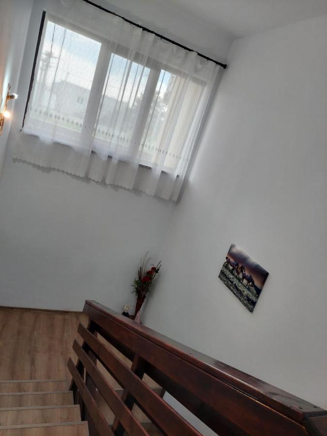 Pensiunea Camelia Baia Esterno foto
